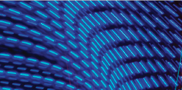 WisdomTree – Becoming Your Clients Financial MD Whitepaper